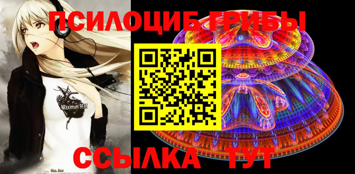 Псилоцибиновые грибы GOLDEN TEACHER  Вход с VPN  как найти наркотики  Котовск  Галлюциногенные грибы GOLDEN TEACHER 